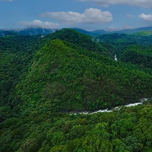 Silent Valley National Park