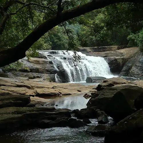 Thommankuthu Waterfalls