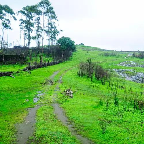 Thrissanku Hills