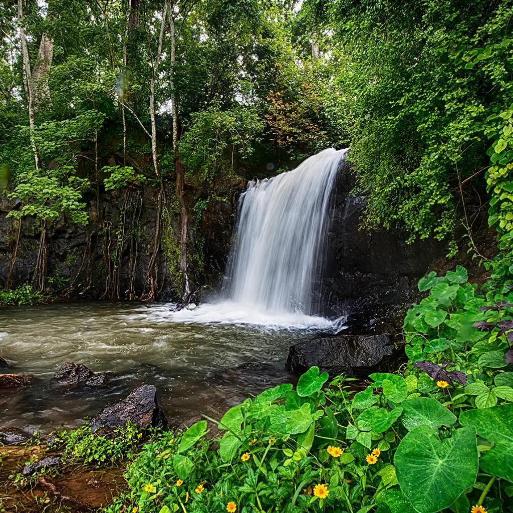 Waterfalls