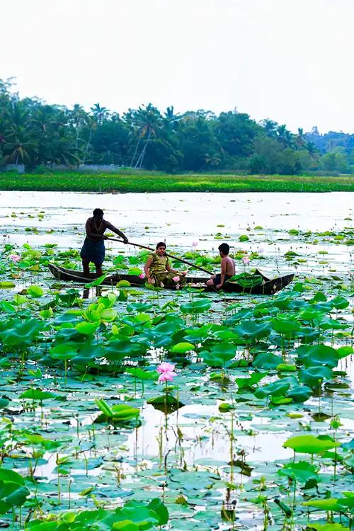 10 Offbeat Attractions in Kerala