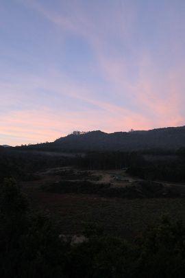 Pambadum Shola National Park