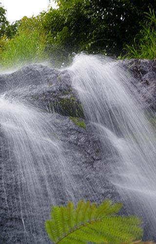 Pampanal Waterfalls, Kottayam