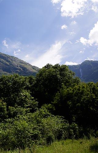 Seetharkundu, Palakkad