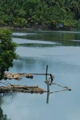 Aquatourism in Kozhikode