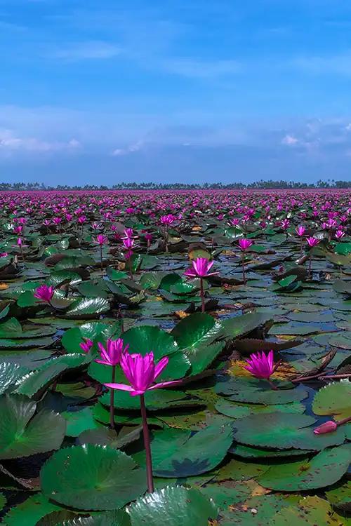 Kerala Visuals