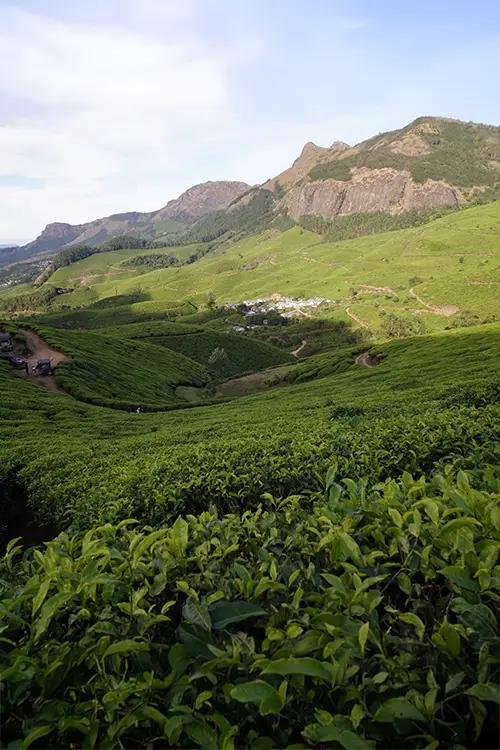 Kolukkumalai