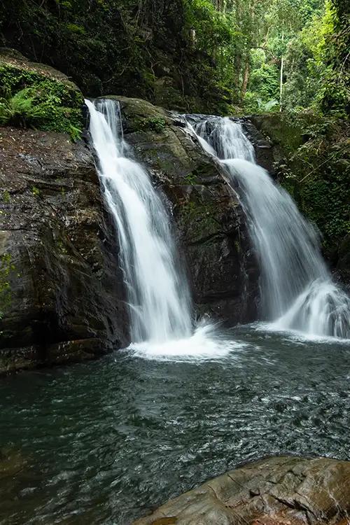 Mankayam Ecotourism