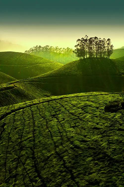 Munnar