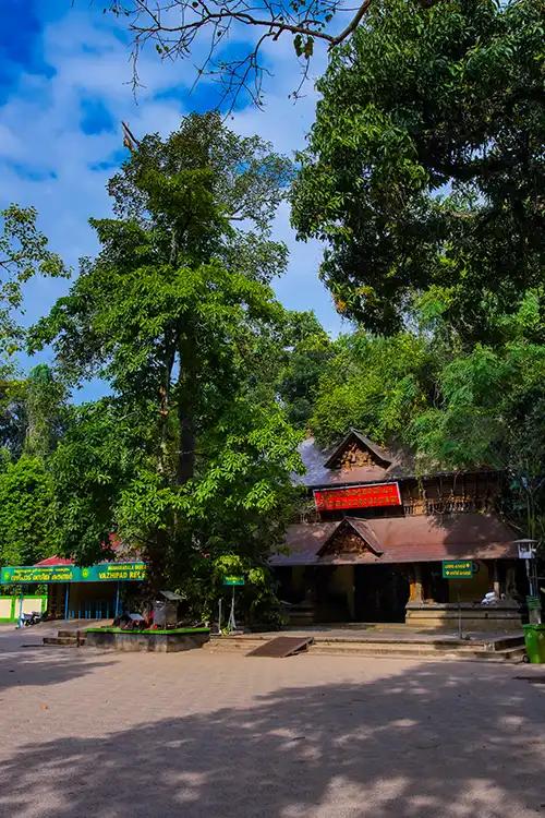 Mannarasala Sree Nagaraja Temple