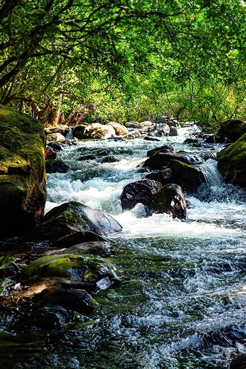 Meenvallam Waterfalls