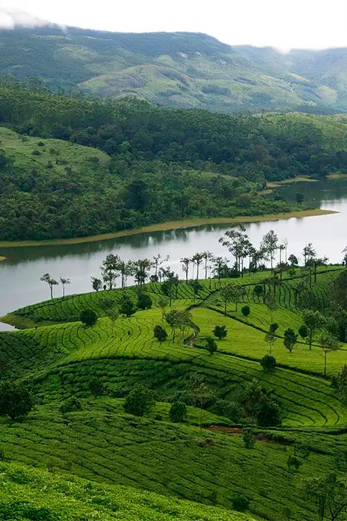 Munnar