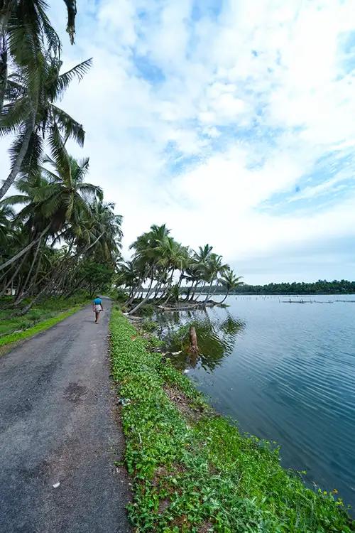 Padanna Backwaters