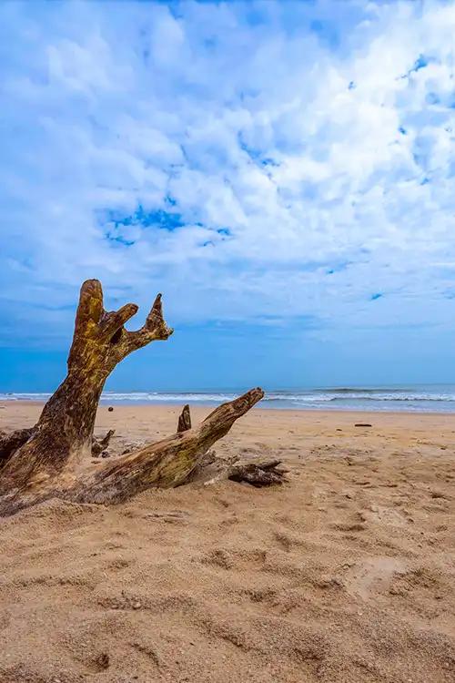 Payyambalam Beach