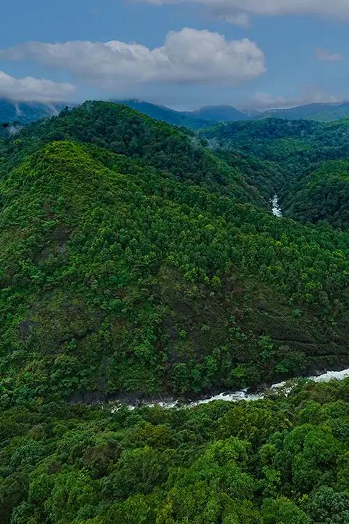 Silent Valley National Park