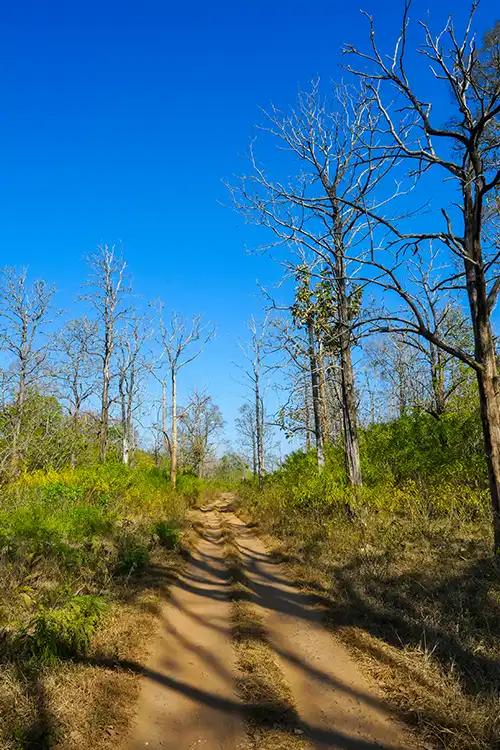 Tholpetty Wildlife Sanctuary