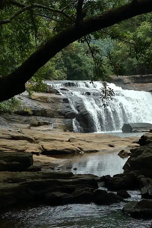 Thommankuthu Waterfalls