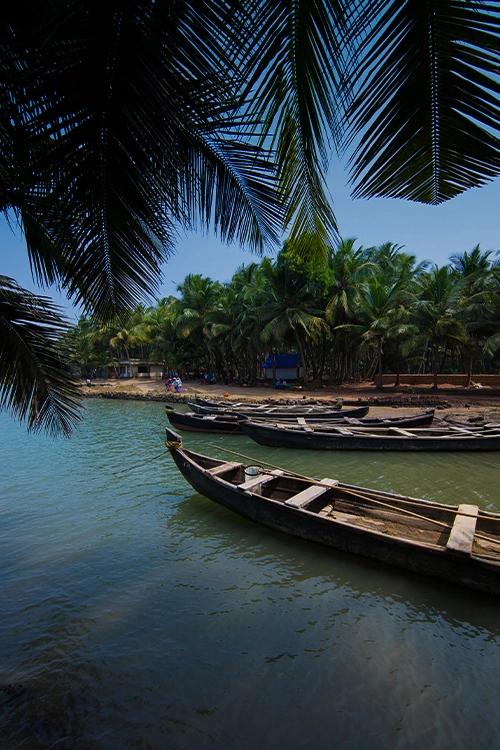 Valiyaparamba Backwaters