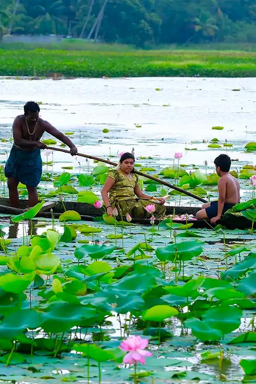 Vellayani Lake