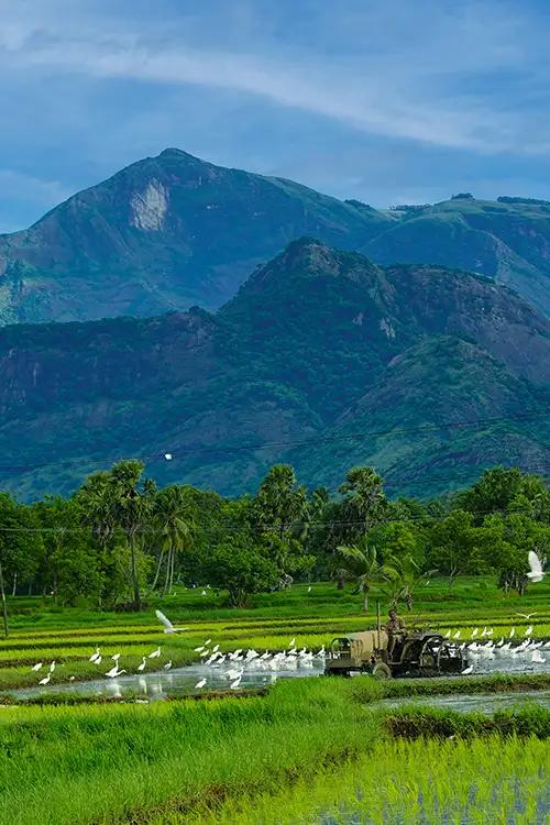 Village Life of Kerala