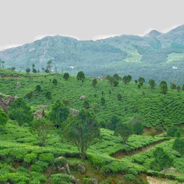 Munnar