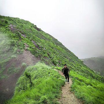 Pettimudi, Idukki