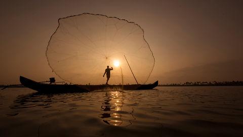 Fishing nets in the backwaters of Kerala