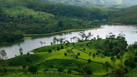 Munnar