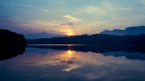 Parambikulam Tiger Reserve