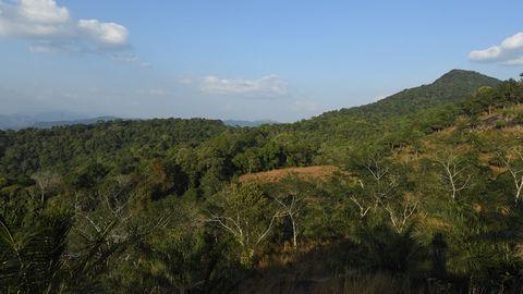 Shendurney Wildlife Sanctuary