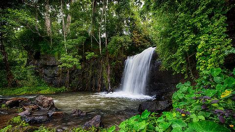 The hidden beauty of Vattayi Waterfalls