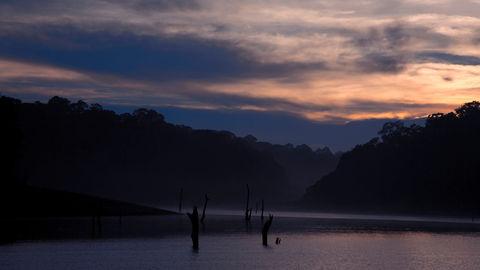 Thekkady - a picture-perfect destination