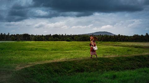 Monsoon and Karkidaka Theyyam