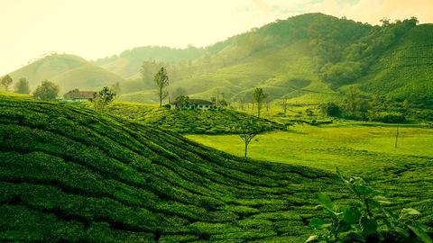 Munnar