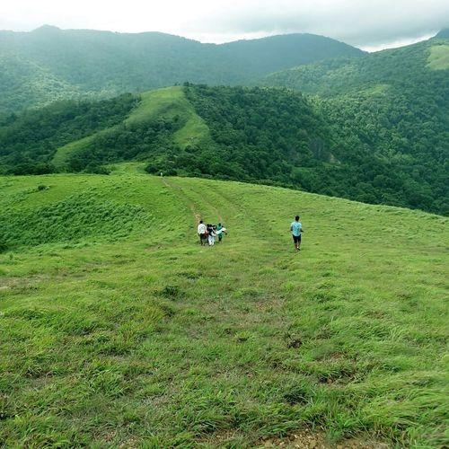 Sirvani Forest