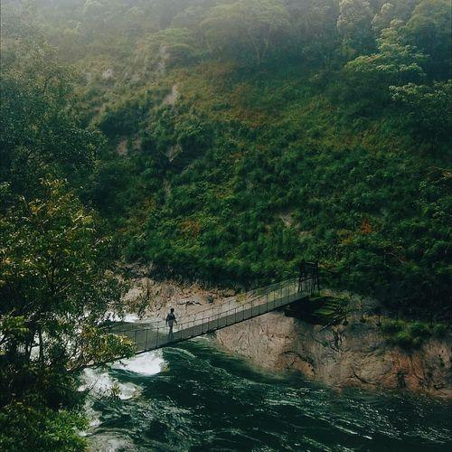 Silent Valley National Park