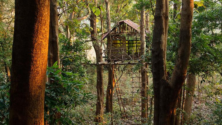 A Tree Hut next to Dhoni Waterfalls | Dhoni