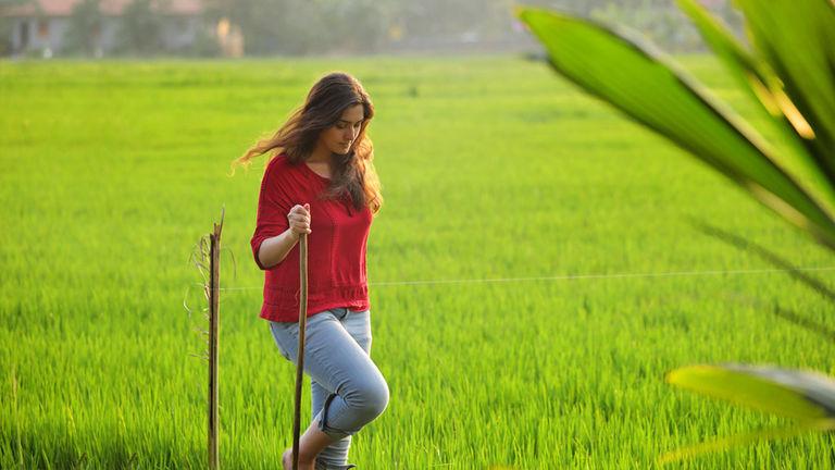 A Walk through Paddy Fields