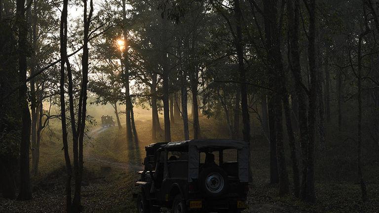 Early morning jeep ride through Muthanga | Wayanad Wildlife Sanctuary