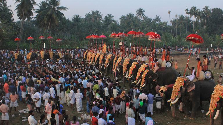 Elephants at Arattupuzha Pooram