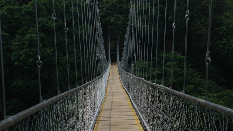 Hanging Bridge at Nilambur | Nedumkayam