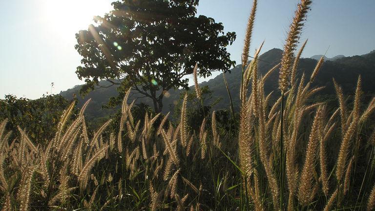 Hill view from Attapady Ghat | Silent Valley National Park