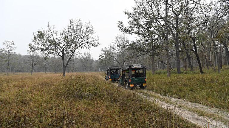 Jeep Safari at Muthanga  | Wayanad Wildlife Sanctuary