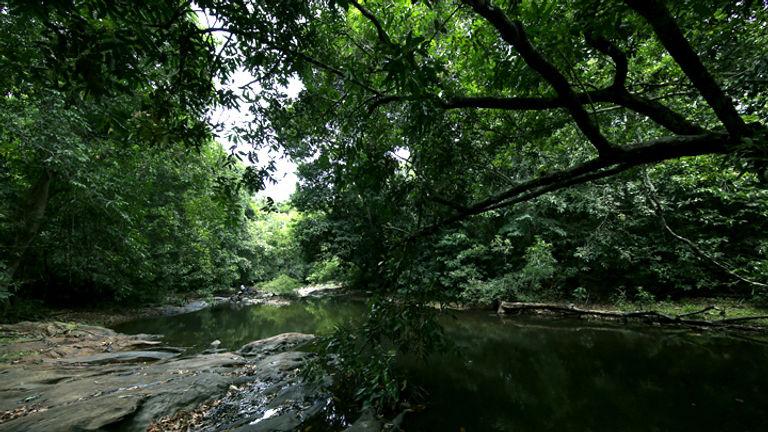 Kannavam forest trails