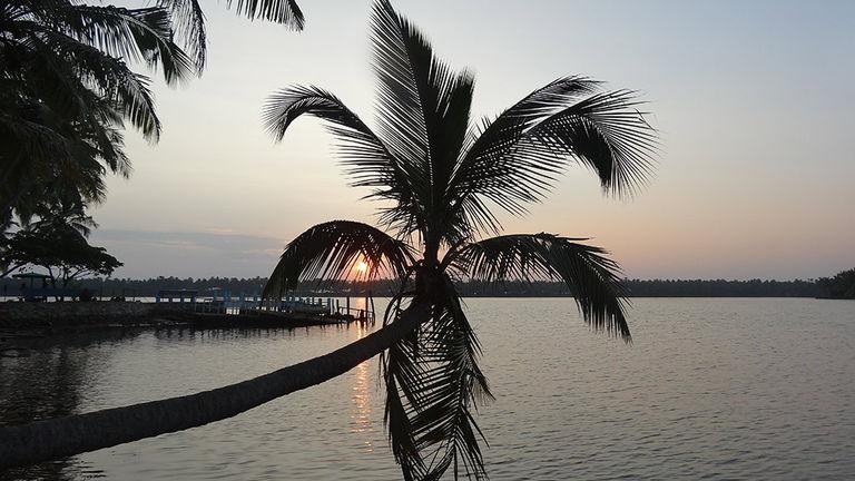 Kavvayi Backwaters