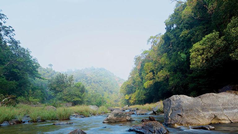 Kunthipuzha - Silent Valley National Park