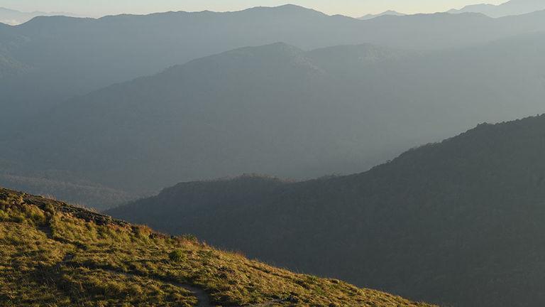 Meadows of Varayadumotta | Ponmudi