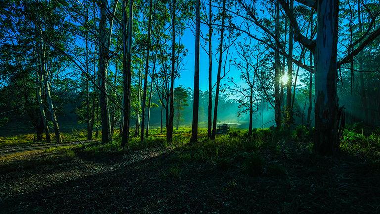 Muthanga Jeep Safari