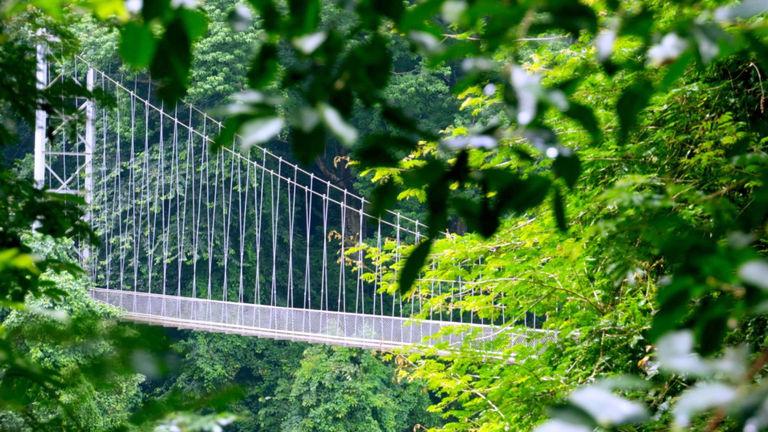 Nilambur's Hanging Bridge | Nedumkayam