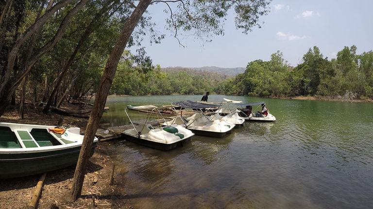 Pedal boats at Neyyar reservoir | Kottur